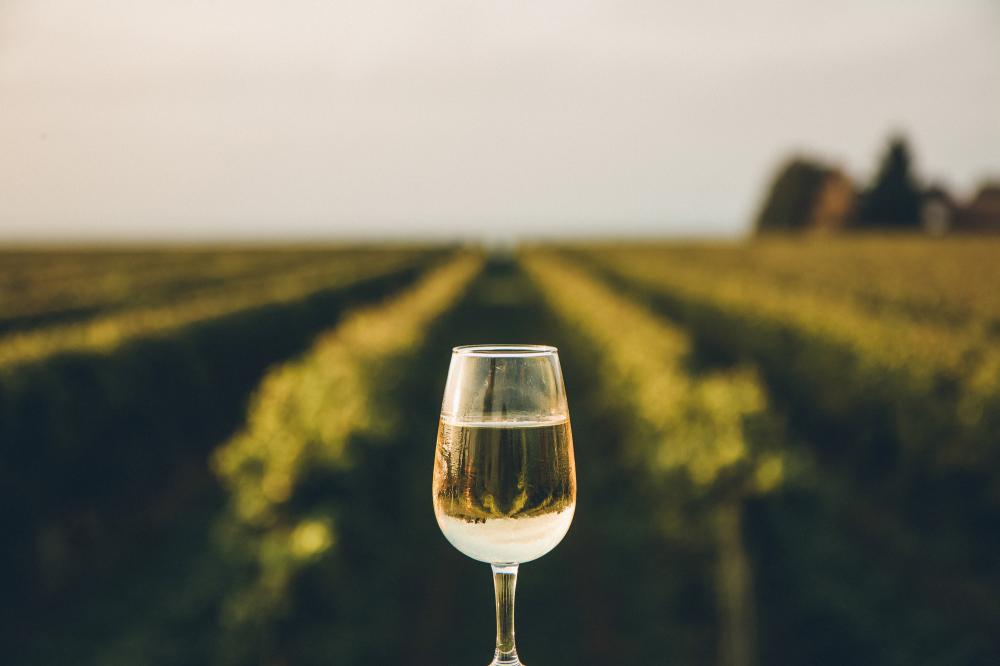 vin blanc